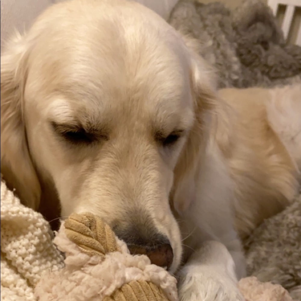 Meet your Posher, Tess